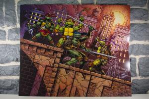 Teenage Mutant Ninja Turtles- The Ultimate Visual History (19)